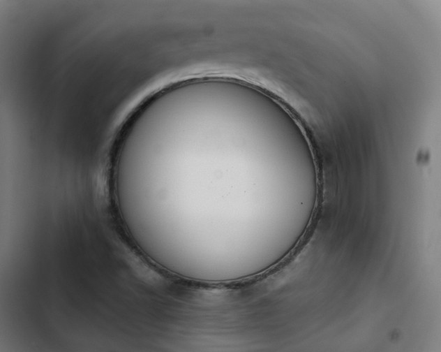 X0000103281502200809051518