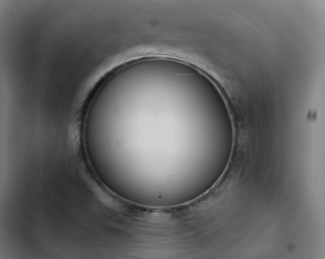 X0000103281503200809051519