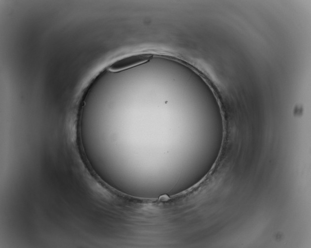 X0000103281504200809051519