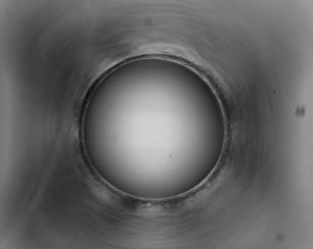 X0000103281505200809051519