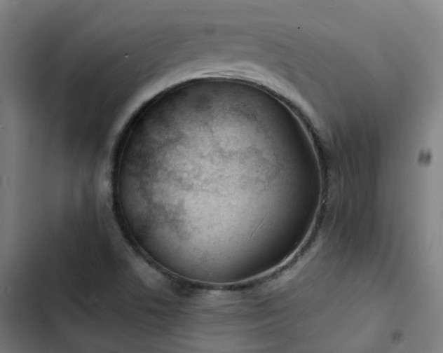 X0000103281506200809051519