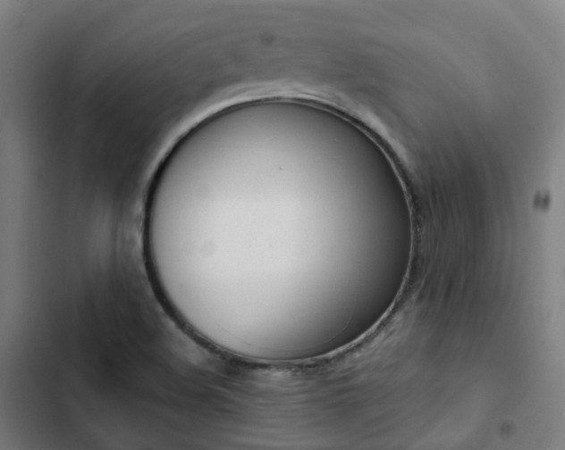 X0000103281508200809051519