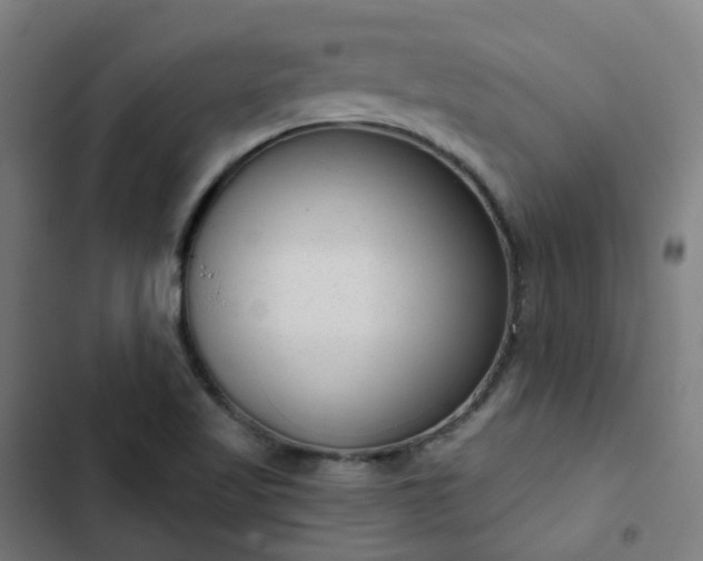 X0000103281509200809051519