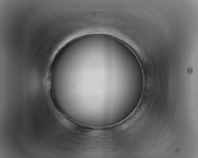 X0000103281510200809051519