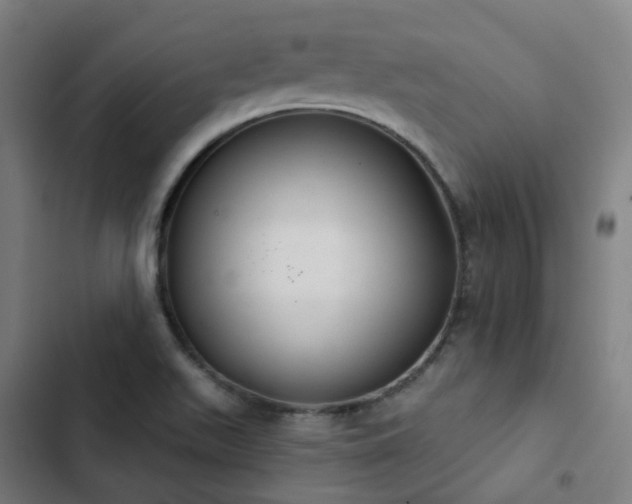 X0000103281511200809051519