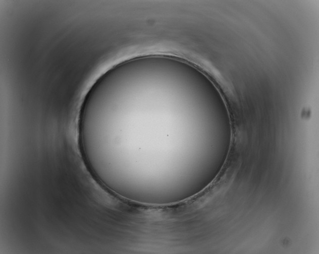 X0000103281512200809051519