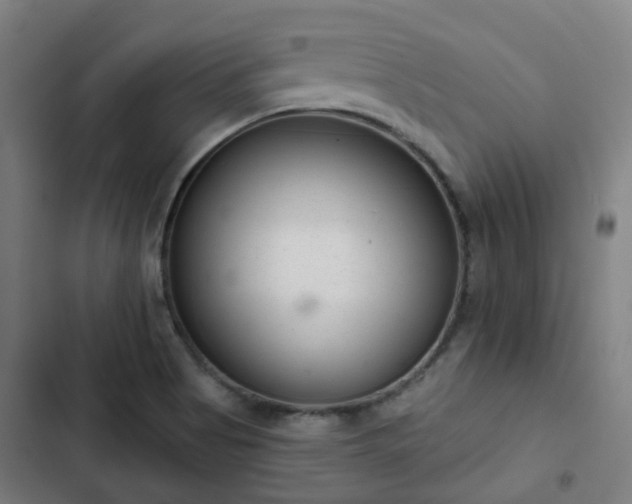 X0000103281513200809051519