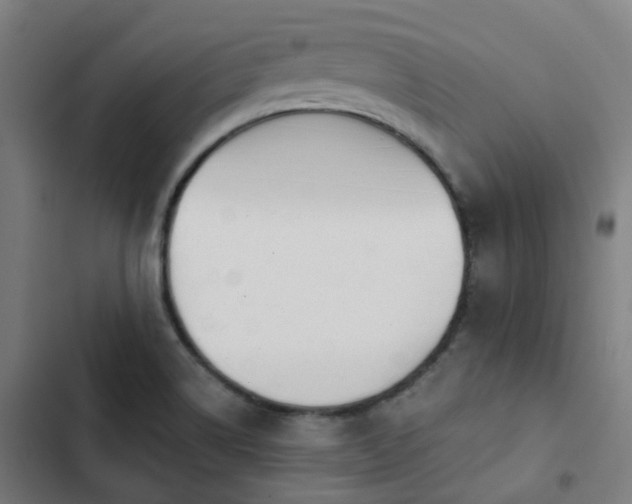 X0000103281514200809051519