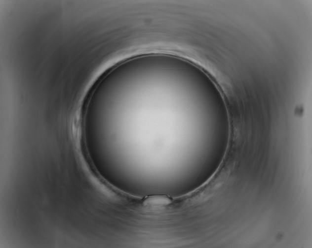 X0000103281515200809051519