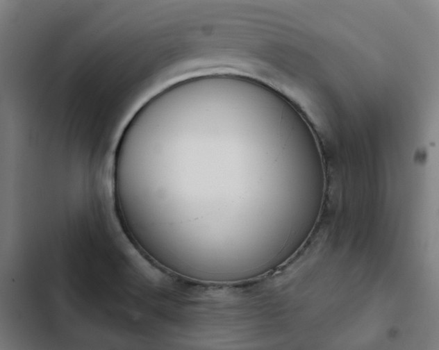 X0000103281516200809051519