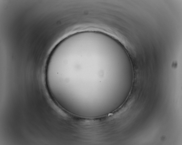 X0000103281518200809051519