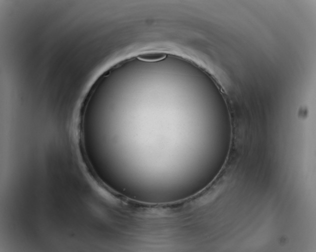 X0000103281519200809051519