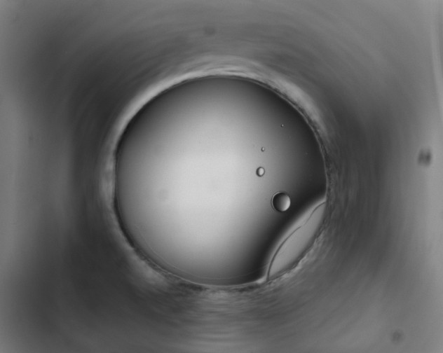 X0000103281520200809051519