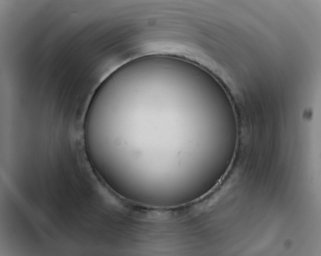 X0000103281521200809051519