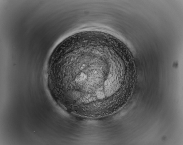 X0000103281522200809051519