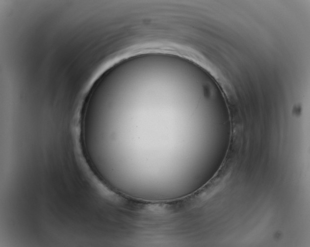 X0000103281523200809051519