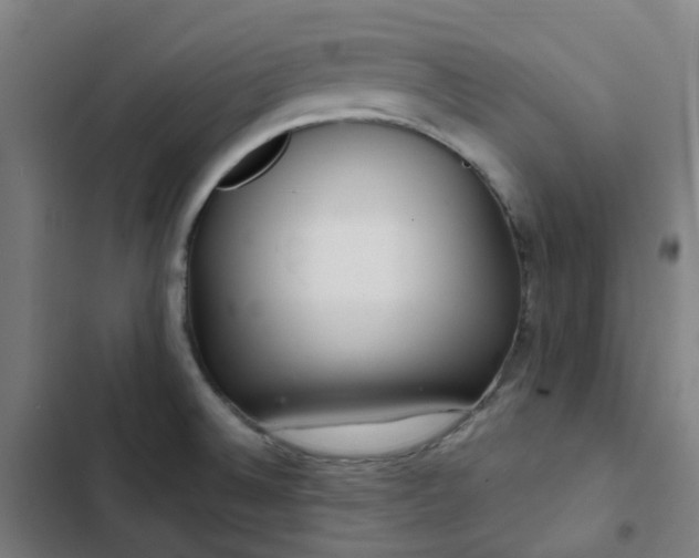 X0000103281524200809051519