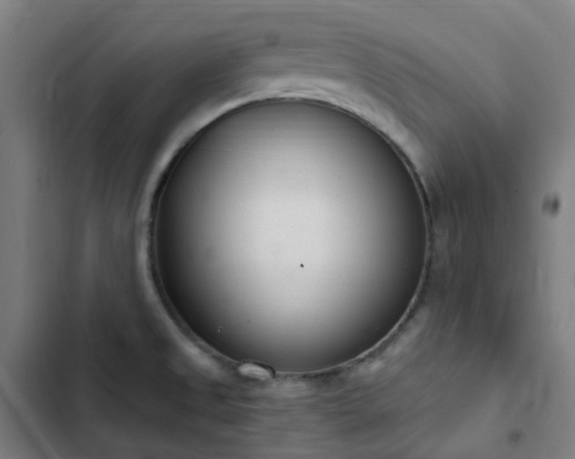 X0000103281525200809051519