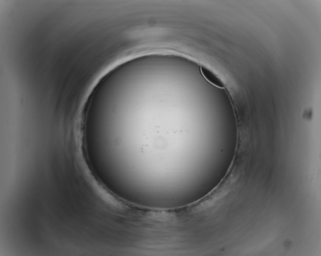 X0000103281526200809051519