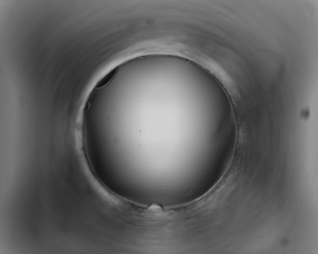 X0000103281528200809051519