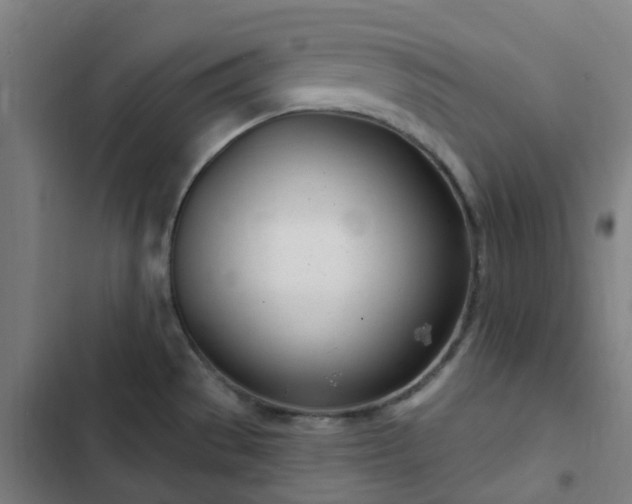 X0000103281529200809051519