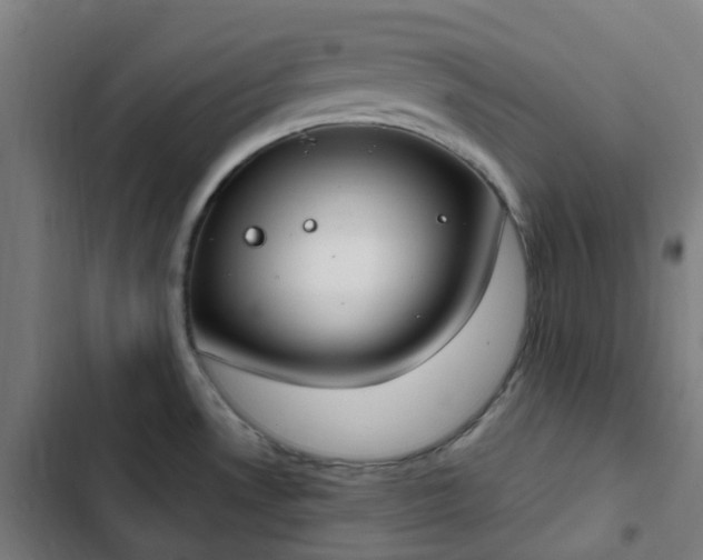 X0000103281530200809051519