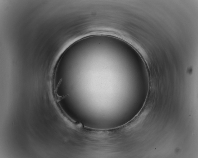 X0000103281533200809051519