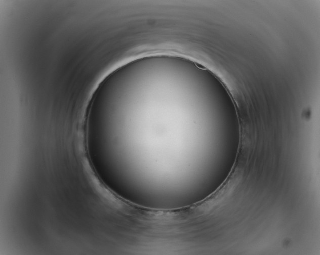 X0000103281534200809051519