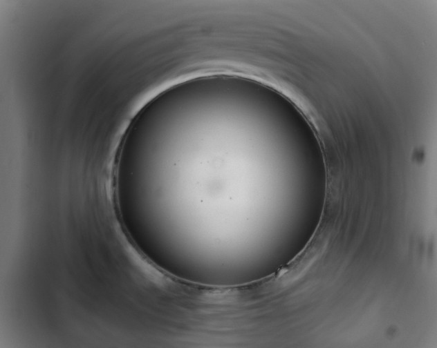 X0000103281535200809051519