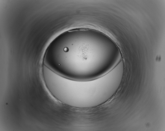 X0000103281536200809051519