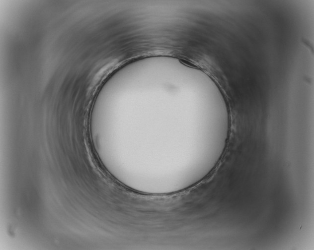 X0000103280001200809121955