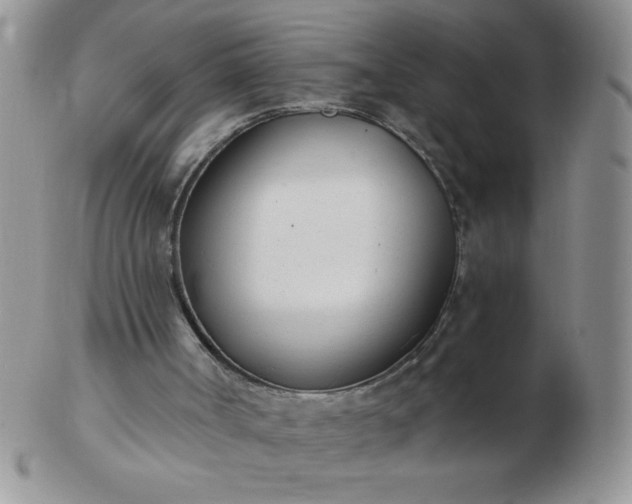 X0000103280002200809121955