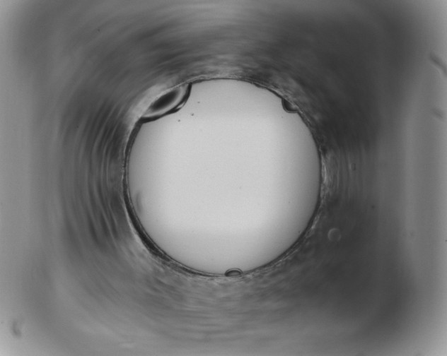 X0000103280003200809121955