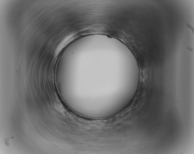 X0000103280004200809121955