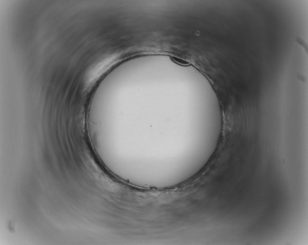 X0000103280005200809121955