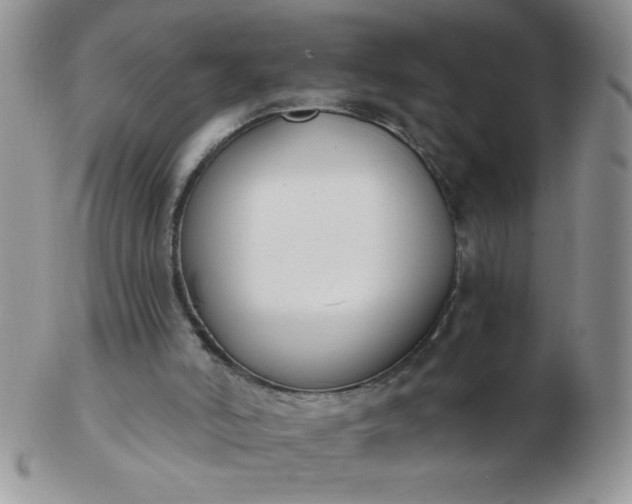 X0000103280006200809121955