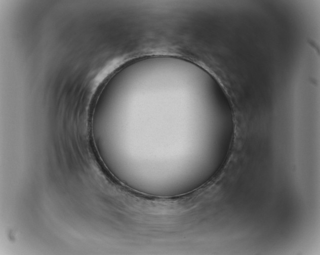 X0000103280008200809121955