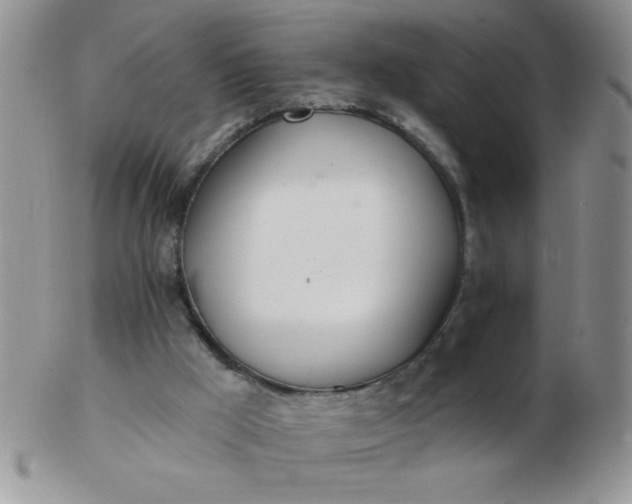 X0000103280009200809121955