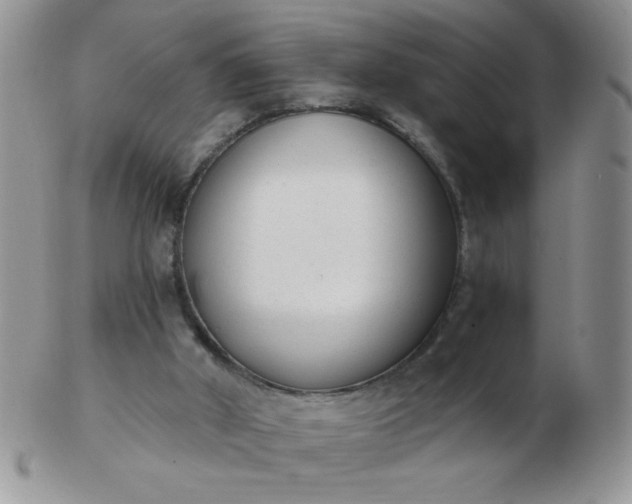 X0000103280010200809121955