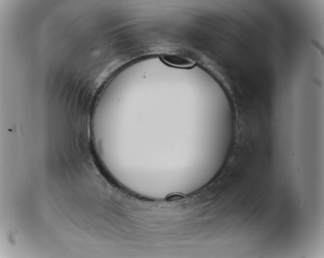 X0000103280011200809121955