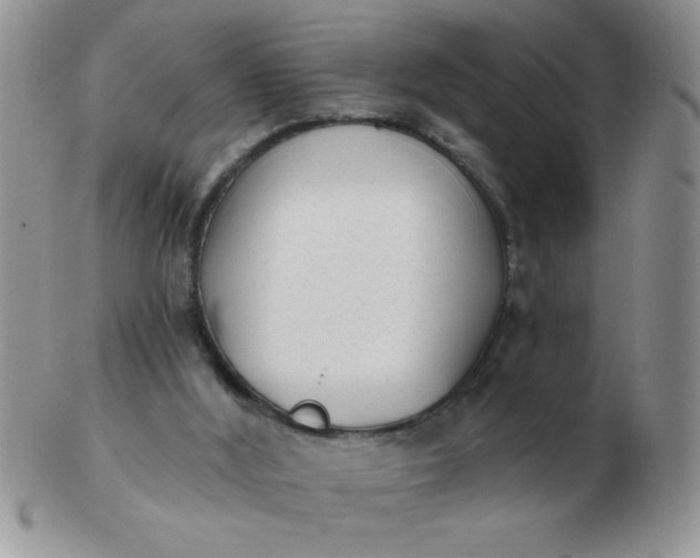 X0000103280012200809121955