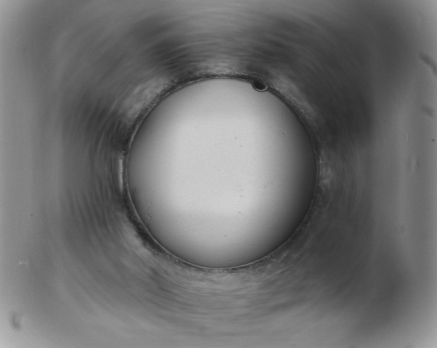 X0000103280014200809121955