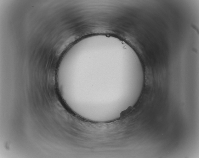 X0000103280015200809121955