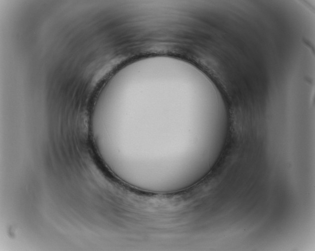 X0000103280016200809121955