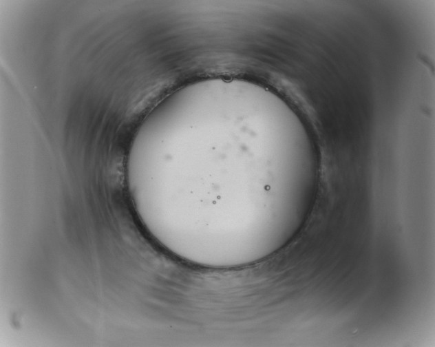 X0000103280017200809121955