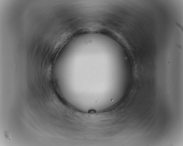 X0000103280018200809121955