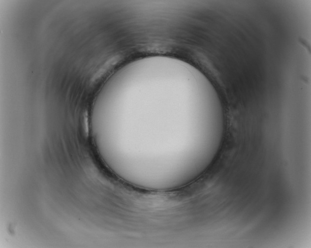 X0000103280020200809121955