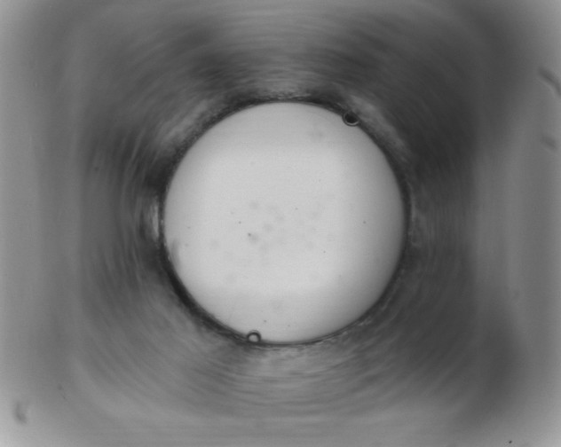 X0000103280021200809121955