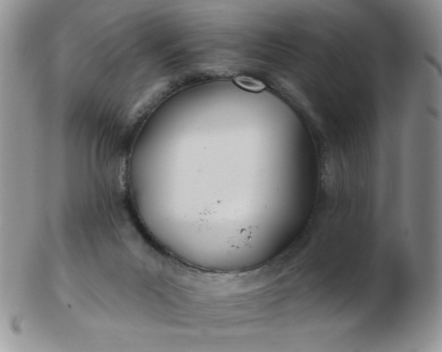 X0000103280023200809121955