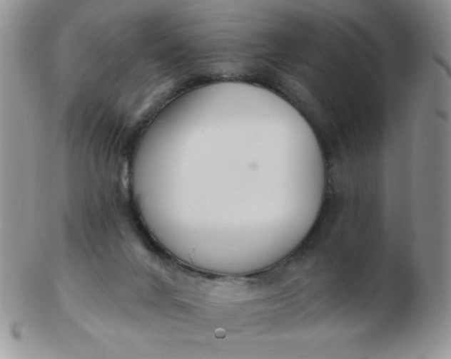 X0000103280024200809121955